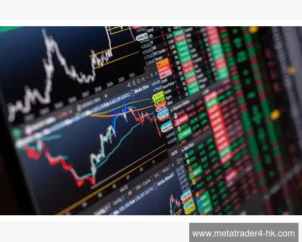 为何MetaTrader 4限制特殊字符于登录密码中