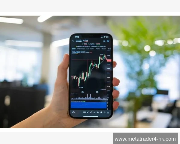 Windows系统中MetaTrader 4卡顿现象的技术